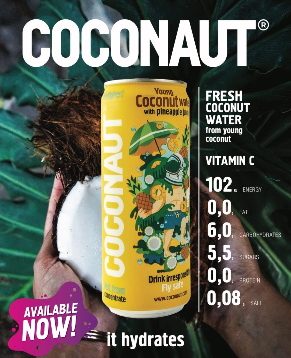 Piña pineapple coco agua water